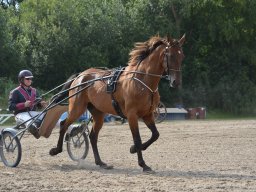 DSC_9165_web